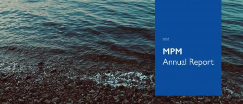 Migrants’ Presence Monitoring Annual Report 2019